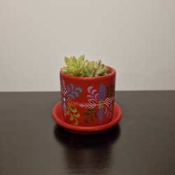 Pot à Cactus multicolore