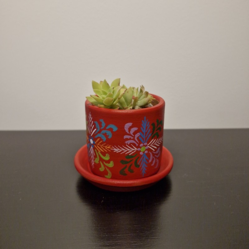 Pot à Cactus multicolore