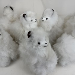 Décoration Alpaga Baby...